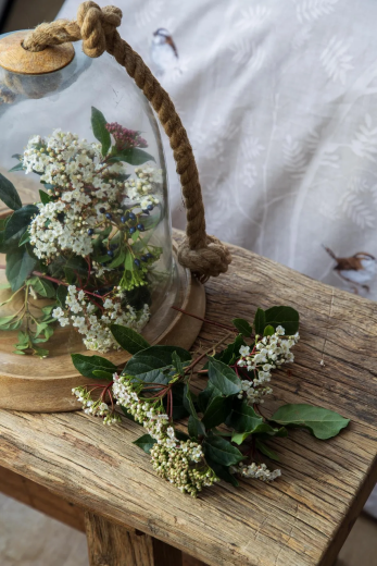 Apricitas Elysıan Bej Nevresim Takımı Ç.K. - 2