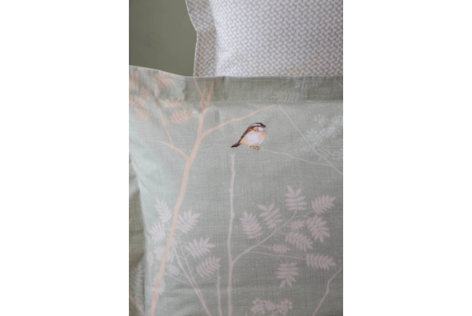 Apricitas Elysıan Pike Takımı Adaçayı Ç.K. - 2